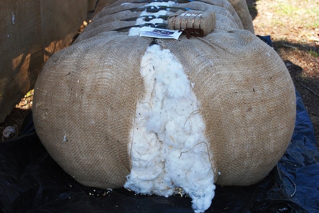 Bale of Cotton