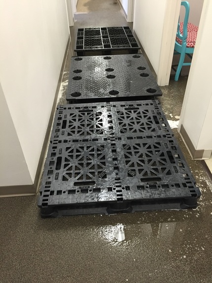 Plastic Pallets in Flooding