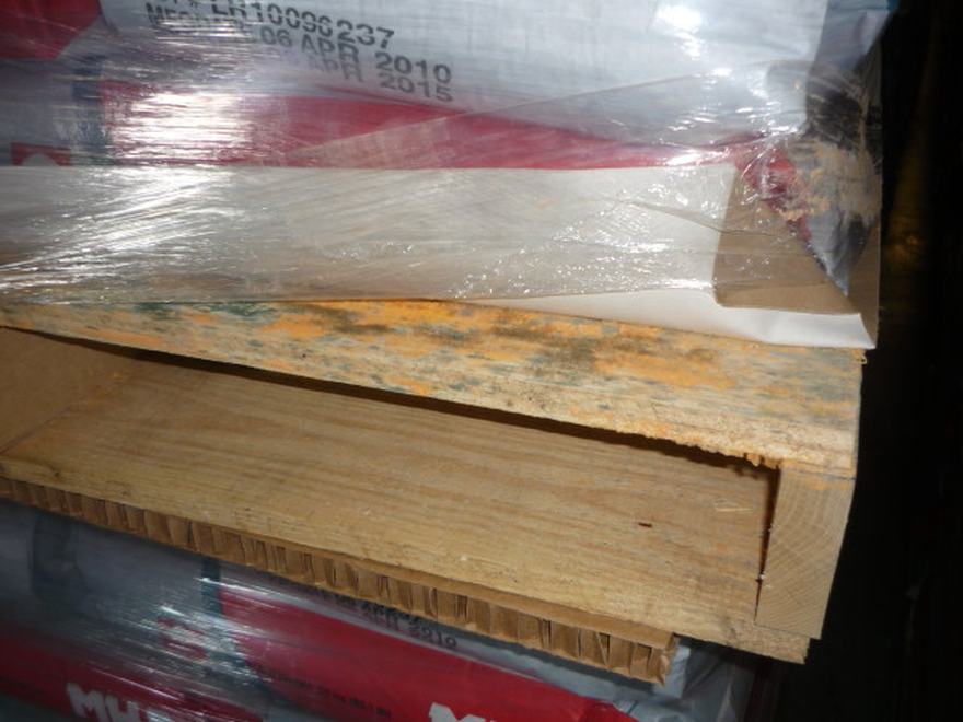 wood pallet with mold