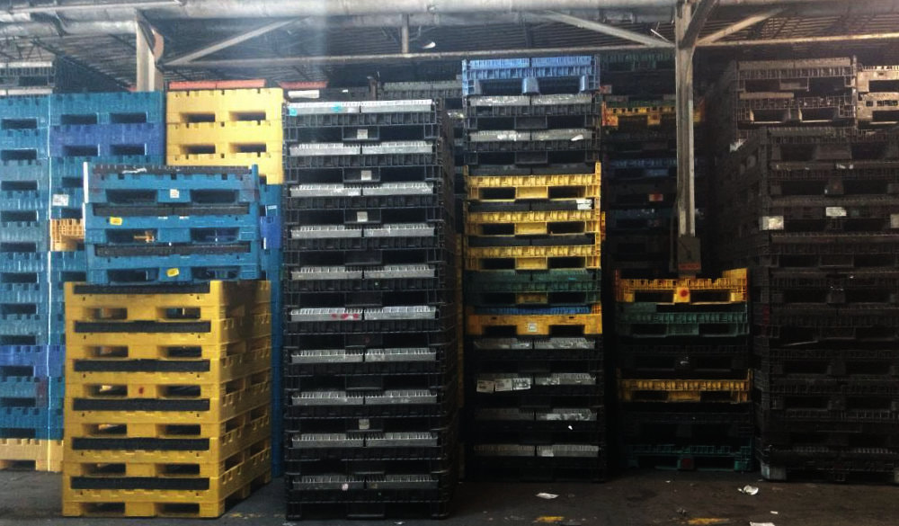 used plastic pallet containers